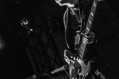Modern English Echoplex-0534